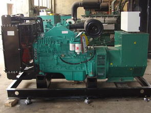 銅陵柴油發電機組租賃 如何買專業的柴油發電機組